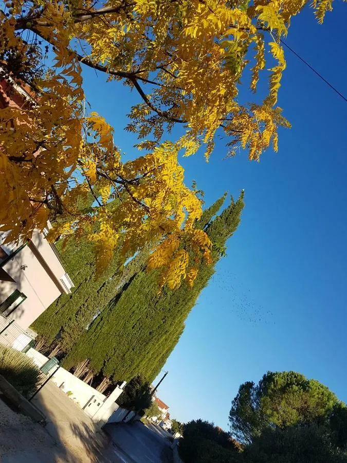 Cro Behar 2 Apartments Sveti Petar  0*, Sveti Petar (Zadar) Croazia